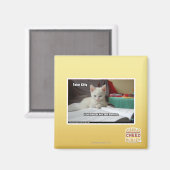 Aimant Tutor Kitty (Recto/Verso)