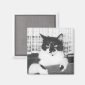 Aimant Tuxedo (Recto/Verso)