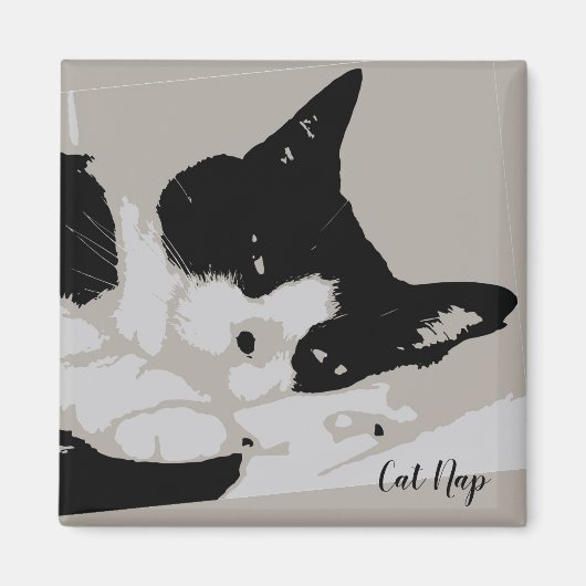 Aimant Tuxedo Cat Nap (Devant)