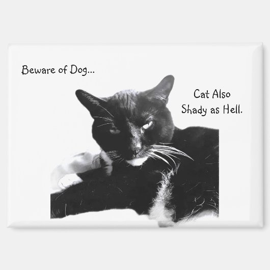 Aimant Tuxedo Cat with Shady Smile  (Recto)