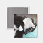 Aimant tuxedo chat chin vue kitty image (Recto/Verso)