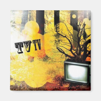 AIMANT TV/TV