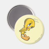 Aimant Tweety Bashful (Recto/Verso)