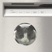 Aimant Twiggy Cat (In Situ (Lave-vaisselle))