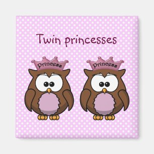 Aimant twin