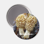 Aimant Twin Yellow Morels, ~Michigan Morels~ (Recto/Verso)