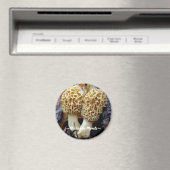 Aimant Twin Yellow Morels, ~Michigan Morels~ (In Situ (Lave-vaisselle))