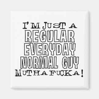 Aimant Type normal