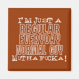 Aimant Type normal