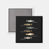 Aimant Types de collection d'espèces de truites pêche (Recto/Verso)