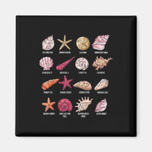 Aimant Types De Coquillages Plage Bombardement Conque Mer