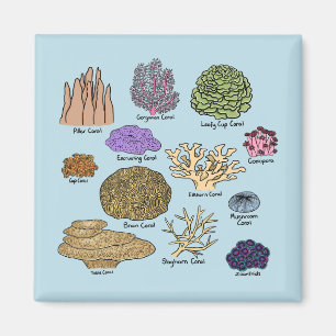 Aimant Types de corail
