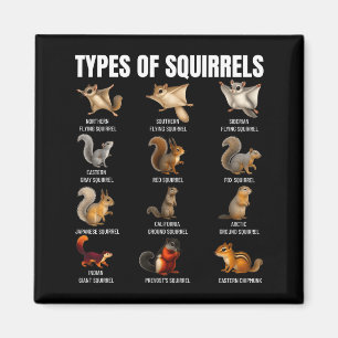 Aimant Types de écureuils Tableau d'identification Espèce