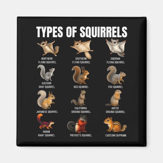 Aimant Types de écureuils Tableau d'identification Espèce (Devant)
