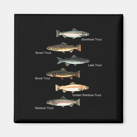 Aimant Types De Truites - Collection Espèces de poissons (Devant)