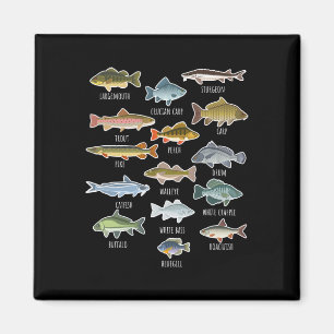 Aimant Types d'espèces de poissons d'eau douce Pêche