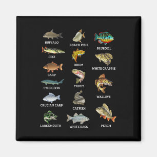 Aimant Types D'Espèces De Poissons D'Eau Douce Pêcheur