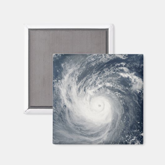 Aimant Typhon Taim (Recto/Verso)