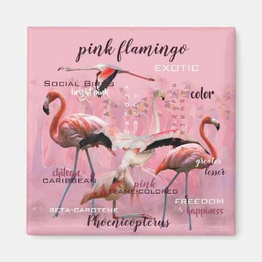 Aimant Typographe rose Flamingo | Customized (Devant)