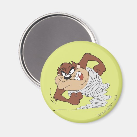 Aimant TZ™ filant rapidement (Recto/Verso)