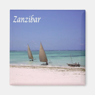 Aimant TZ - Tanzanie - Zanzibar - Plage