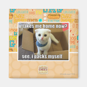 Aimant U me prennent à la maison maintenant ?