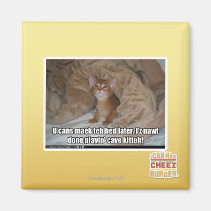 Aimant U peut maek le lit plus tard