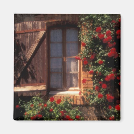 Aimant UE, France, Provence, Vaucluse, Apt. Maison (Devant)