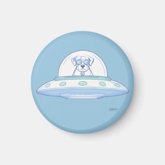 AIMANT UFO PETS (Devant)