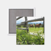 Aimant Ukraine : dans les Carpates (Recto/Verso)