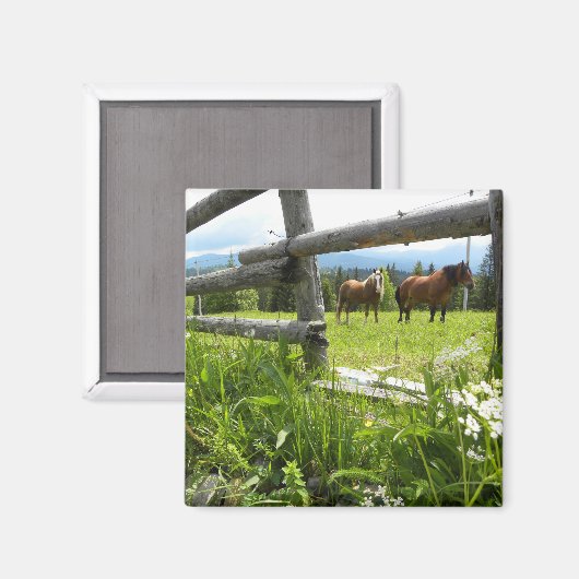 Aimant Ukraine : dans les Carpates (Recto/Verso)