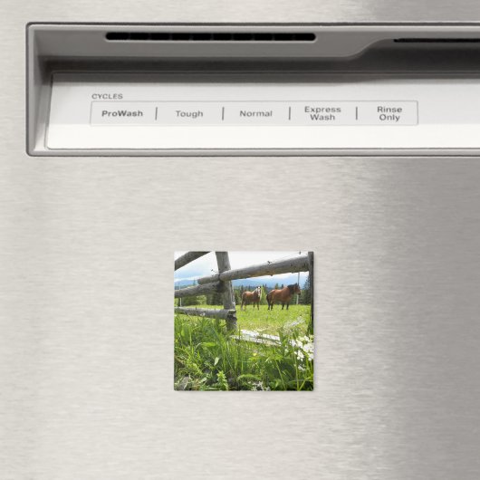 Aimant Ukraine : dans les Carpates (In Situ (Lave-vaisselle))