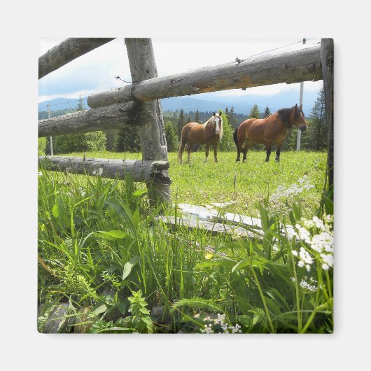 Aimant Ukraine : dans les Carpates (Devant)