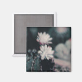 Aimant Un (Recto/Verso)