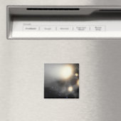 Aimant Un amas de galaxies (In Situ (Lave-vaisselle))