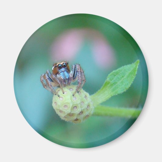 Aimant Un Ami Du Jardin ! (Devant)