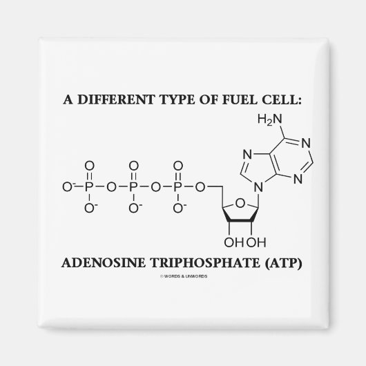 Aimant Un Autre Type De Cellule À Carburant (ATP) (Devant)