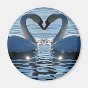 Aimant Un baiser de coeur de cygne, réflexions de l'amou