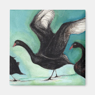 Aimant Un ballet des cygnes noirs 2013