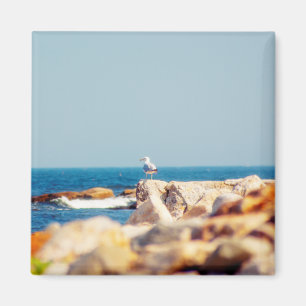 Aimant Un billet de Gull