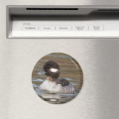 Aimant Un Canard À Tête De Buffle Nage Par (In Situ (Lave-vaisselle))