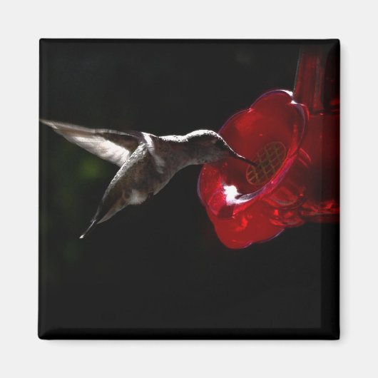 Aimant Un casse-croûte de minuit (Devant)