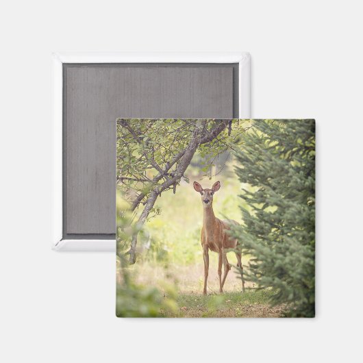 Aimant Un cerf solitaire (Recto/Verso)