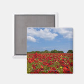 Aimant Un Champ De Fleurs Rouges (Recto/Verso)