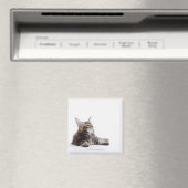 Aimant Un chaton du Maine Coon (In Situ (Lave-vaisselle))