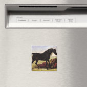 Aimant Un cheval arabe (In Situ (Lave-vaisselle))