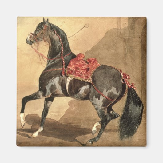 Aimant Un cheval d'Arabie (avec une feuille de papier) (Devant)