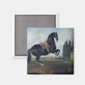 Aimant Un cheval noir exécutant la Courbette (Recto/Verso)