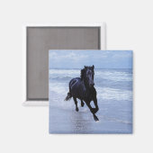 Aimant Un cheval sauvage et libre (Recto/Verso)