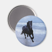 Aimant Un cheval sauvage et libre (Recto/Verso)